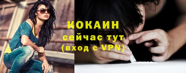 mdpv Гусев