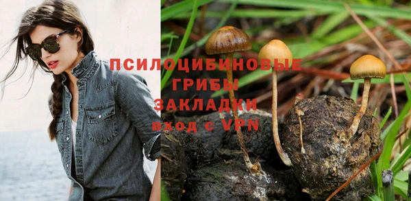 mdpv Гусев