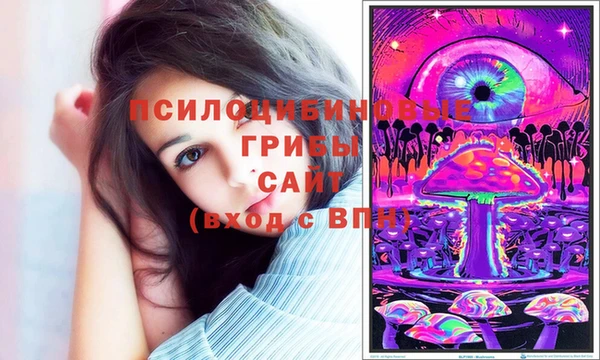 COCAINE Гусиноозёрск