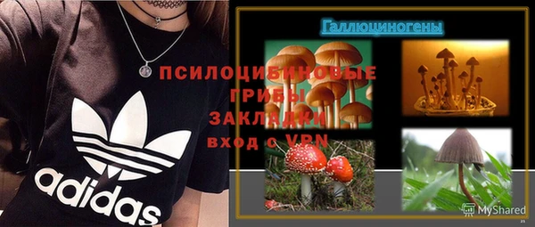 mdpv Гусев