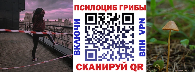 Псилоцибиновые грибы прущие грибы купить наркотик Благовещенск
